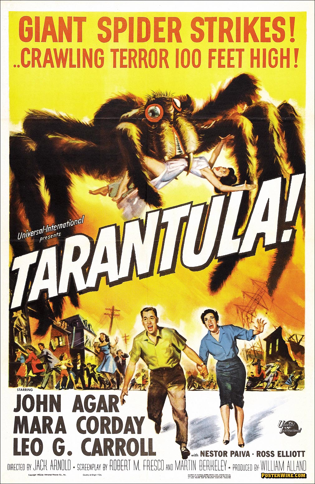 tarantula.jpg